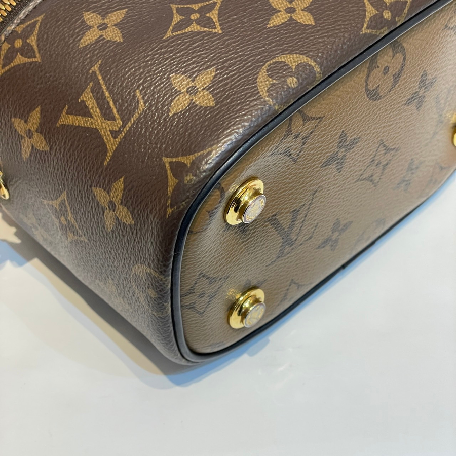 Louis Vuitton Vanity Bag Canvas GHW