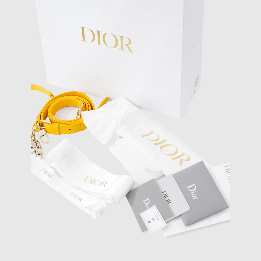Christian Dior Lady D-Joy Bag