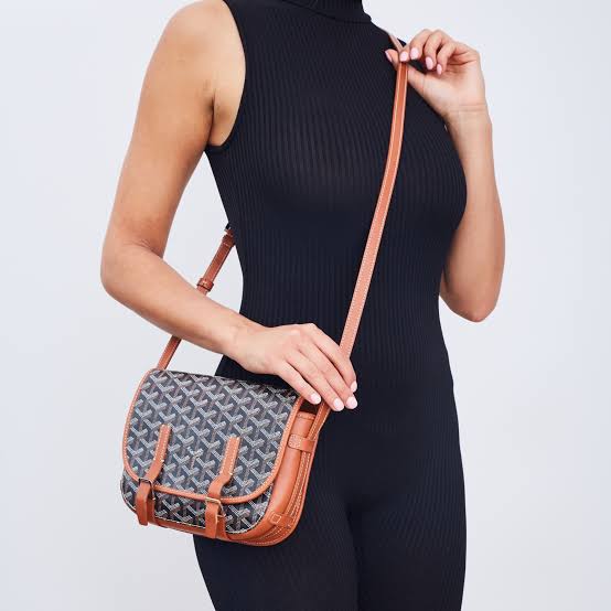 Goyard Belvedere PM Bag – Perrine Porter - Main Image